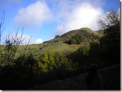 Picture1 044