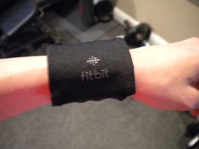 [fitbit 003[2].jpg]