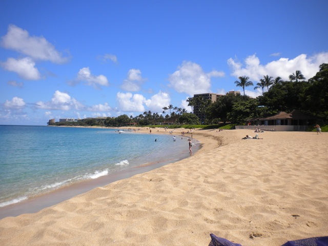 [Maui 2010 022[7].jpg]