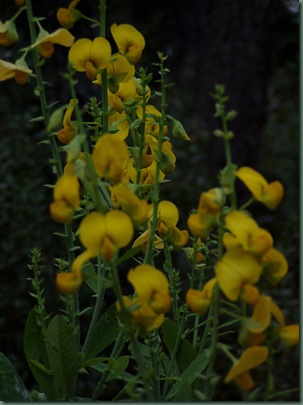 PA190034 PA190034