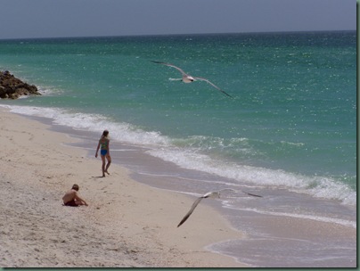 birds,kids at beach birds,kids at beach