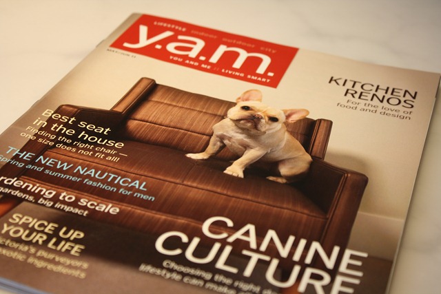 [yam magazine april 001[3].jpg]
