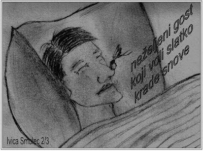 Haiga niz Komarac 2/3