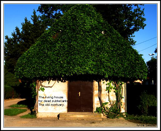 Živa kuća - haiga (Living house)