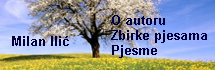 Milan Ilić - banner