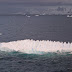 Serrated Iceberg