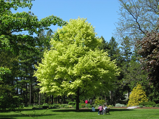 [AprilMay10372.jpg]
