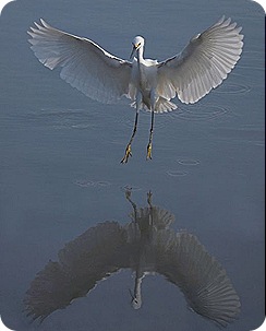 Jack_Wolf_Landing_mirror Jack_Wolf_Landing_mirror