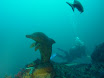 P1050147.JPG