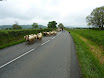 P1050337.JPG