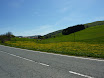P1050356.JPG