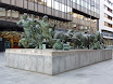 P1050369.JPG
