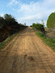 P1050524.JPG