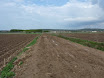P1050526.JPG