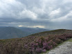 P1050561.JPG