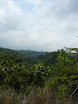 P1050690.JPG