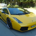 Lamborghini - 12. avgust 2008