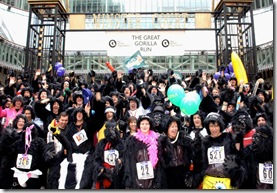 gorillarun