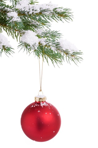 [christmas-img-2[4].jpg]