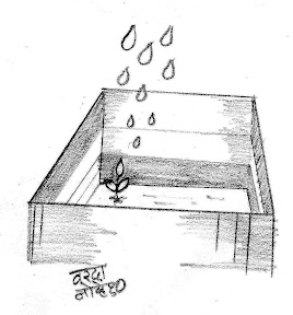 wall