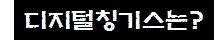디지털칭기스는?