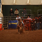 Rodeo