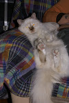 DSC05325.JPG