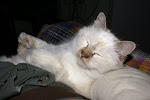 DSC05338.JPG
