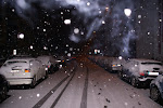 DSC05357.JPG