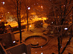 DSC05488.JPG