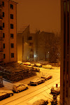DSC05424(2).JPG