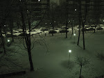 DSC05462.JPG