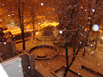 DSC05493.JPG