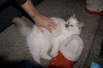 DSC05047.JPG