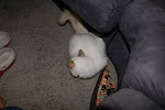 DSC05050.JPG