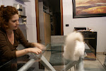 DSC05067.JPG