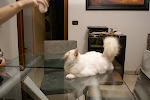 DSC05079.JPG