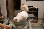 DSC05081.JPG