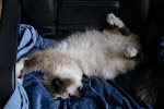 DSC05151.JPG