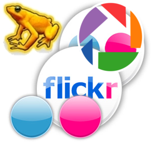 [flickr-logo[11].png]