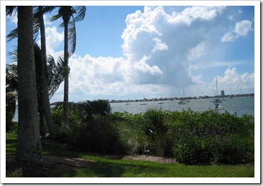 fall-in-sarasota