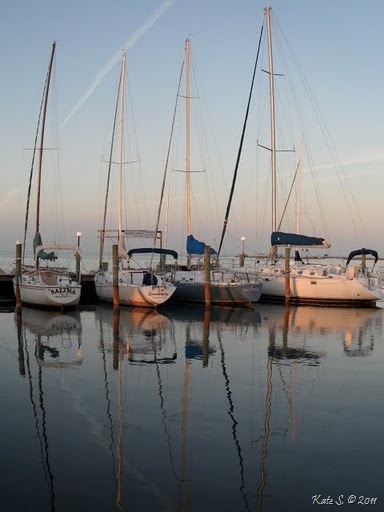 [keys fisheries[10].jpg]