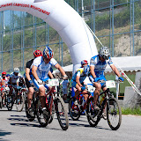 Mountain Brick 2010