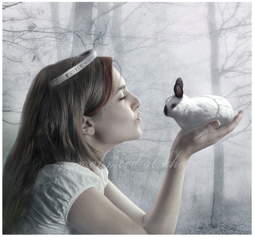 [1472162458_471f2099845.jpg]