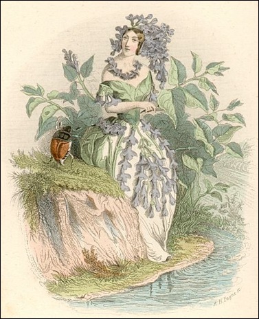 hollunder hollunder