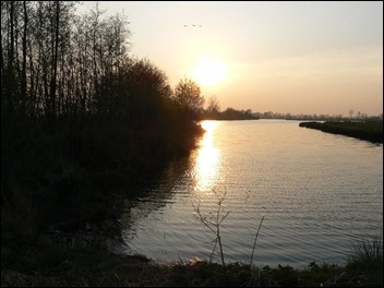 polsbroekerdam willeskop