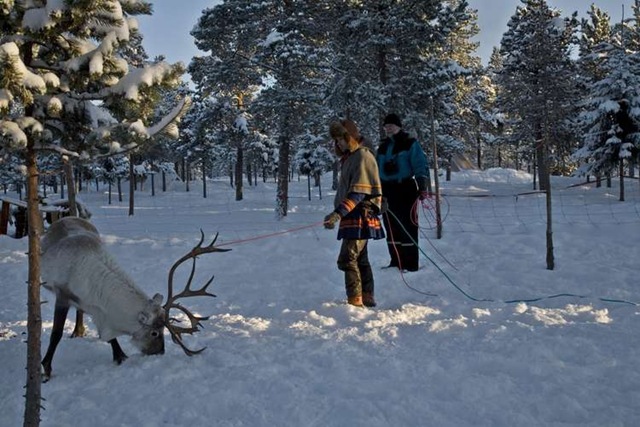 [SE - Saami camp dg11020 One Man and his Reindeer Feb 2007[4].jpg]