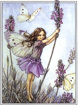 [lavender fairy[8].jpg]