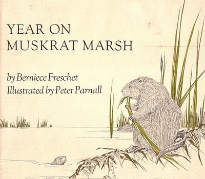 [parnall_year_on_muskrat_marsh4.jpg]