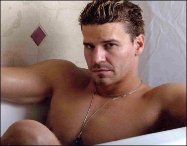 david-boreanaz